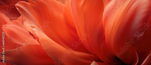 Vivid tulip details in close-up.