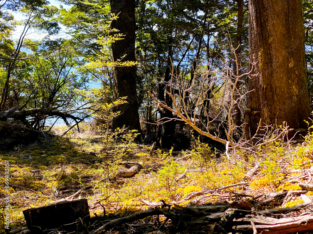 Kepler Walk trail in south Island, New Zealand