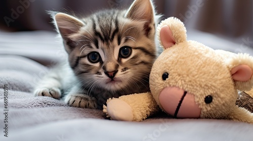 Kitten lying on carpet and hugs mouse toy. © Creative Station