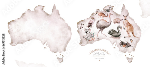 Watercolor australian map cartoon kangaroo, ostrich Emu , koala and flying fox, owl, Echidna . Australian Black Swan and numbat Kookaburra , cockatoo kids illustration. Nursery