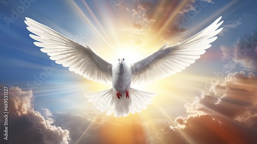 Holy spirit bird flies in skies, bright light shines from heaven, white dove - symbol of love and peace - descends from sky.