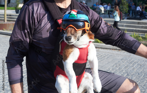 Fototapeta Naklejka Na Ścianę i Meble -  Cute Dog on a Bicycle with Helmet and Goggles.