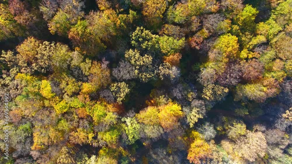 Autumn Forest, aerial view, fly over trees Autumn Forest, aerial view, fly over trees