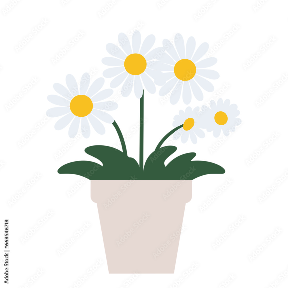 Daisy Flower in pot Illustration Vector 