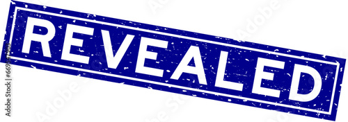 Grunge blue revealed word square rubber seal stamp on white background