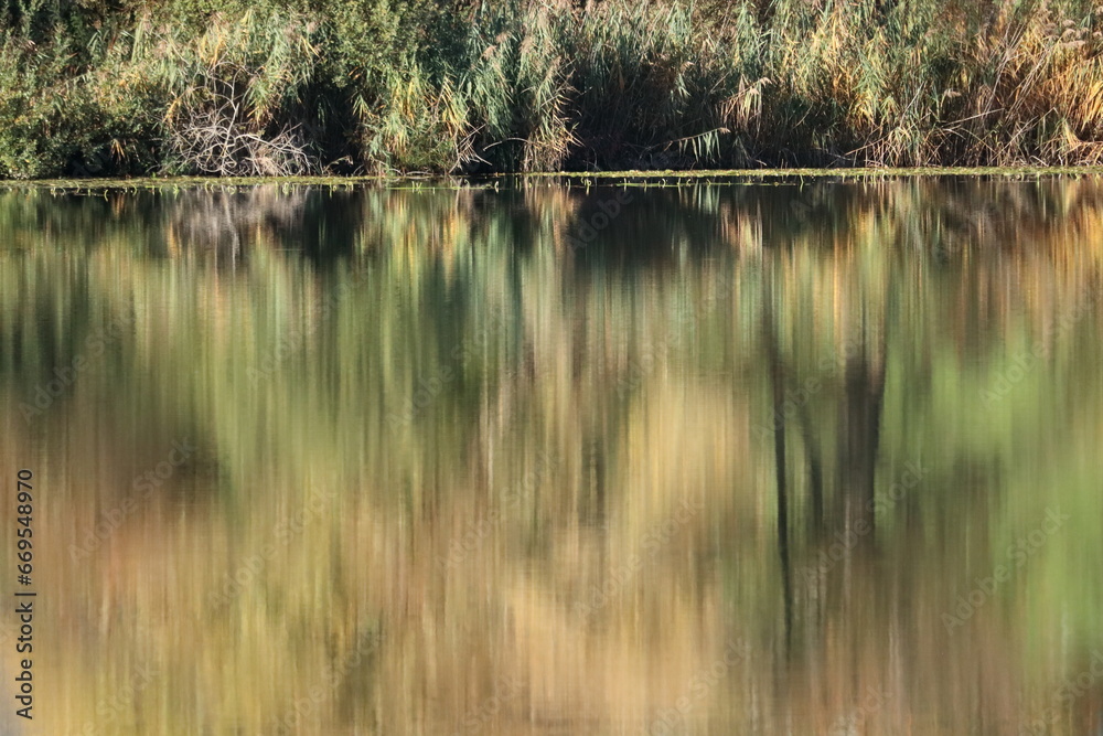 Reflexions of forest on water surface Reflexions of forest on water surface
