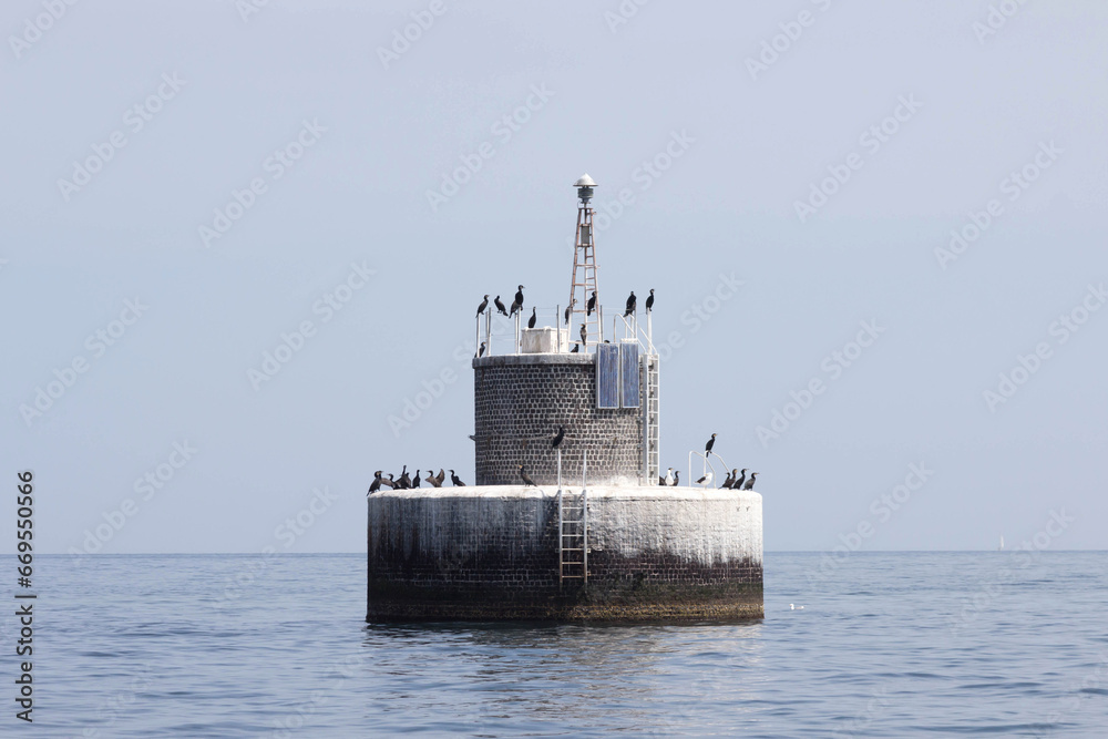 Fototapeta premium Kormorane ruhen auf einem Seezeichen aus