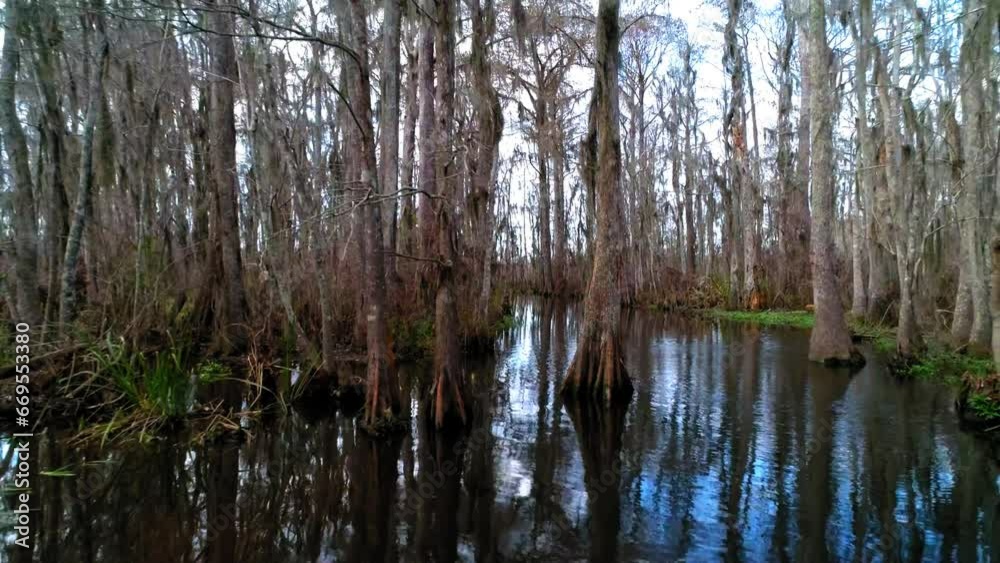 Aerial: Drone Flying Backward Near Trees With Reflection On Pearl River - New Orleans, Louisiana Aerial: Drone Flying Backward Near Trees With Reflection On Pearl River - New Orleans, Louisiana