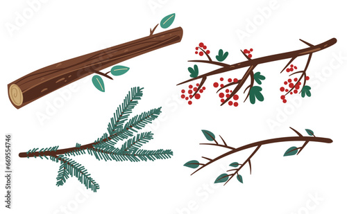 Branch tree twig leaf pine berry isolated set. Vector flat graphic design illustration