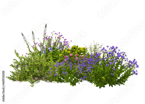 Colorful variety of flower garden on transparent background