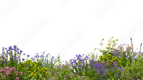 Fototapeta Naklejka Na Ścianę i Meble -  Foreground Colorful variety of flower garden on transparent background