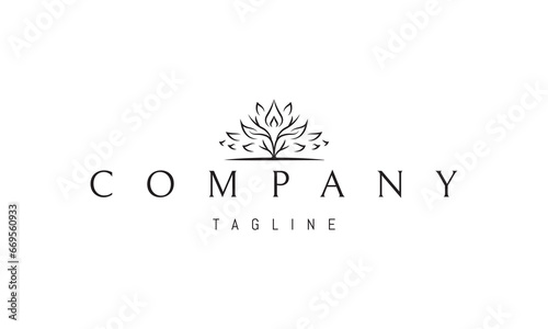 A vector logo with an abstract image of a branchy tree with a drop in the middle.