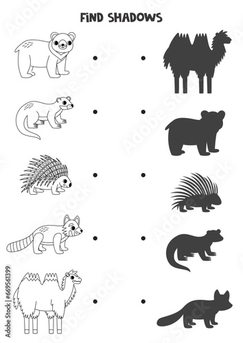 Find the correct shadows of black and white Asian animals. Logical puzzle for kids.