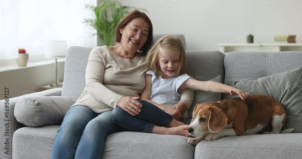 Happy grandma and little grandkid girl stroking adorable beagle dog, resting on home sofa, talking, laughing, enjoying domestic family leisure, close relationship, bonding Happy grandma and little grandkid girl stroking adorable beagle dog, resting on home sofa, talking, laughing, enjoying domestic family leisure, close relationship, bonding