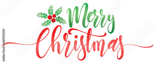 Merry christmas lettering typography