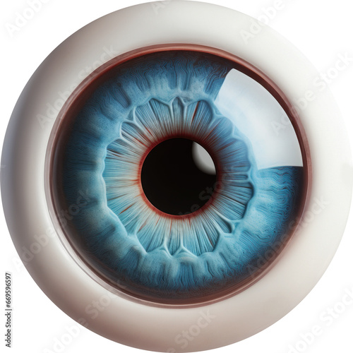 eyeball transparent background PNG clipart