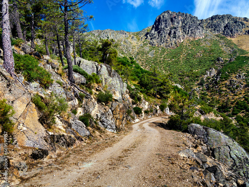 Camino del Horcajo photo