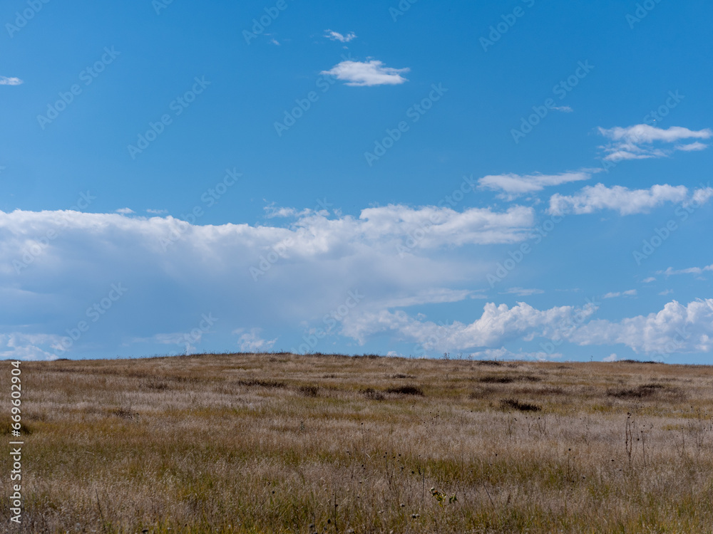 Shortgrass prairie in eastern Colorado