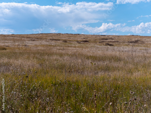 Fototapeta Naklejka Na Ścianę i Meble -  Shortgrass prairie in eastern Colorado
