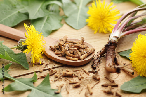 Dried dandelion root with fresh flowers and leaves on wooden table, closeup, copy space, green medicine, diet food, homeoparhy, hair and skin healthy care, detox therapy concept