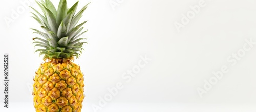 Pineapple on white backdrop