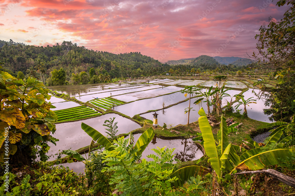 Texture Rice Building The magical rice terraces in the evening. Here you can see the unique ...