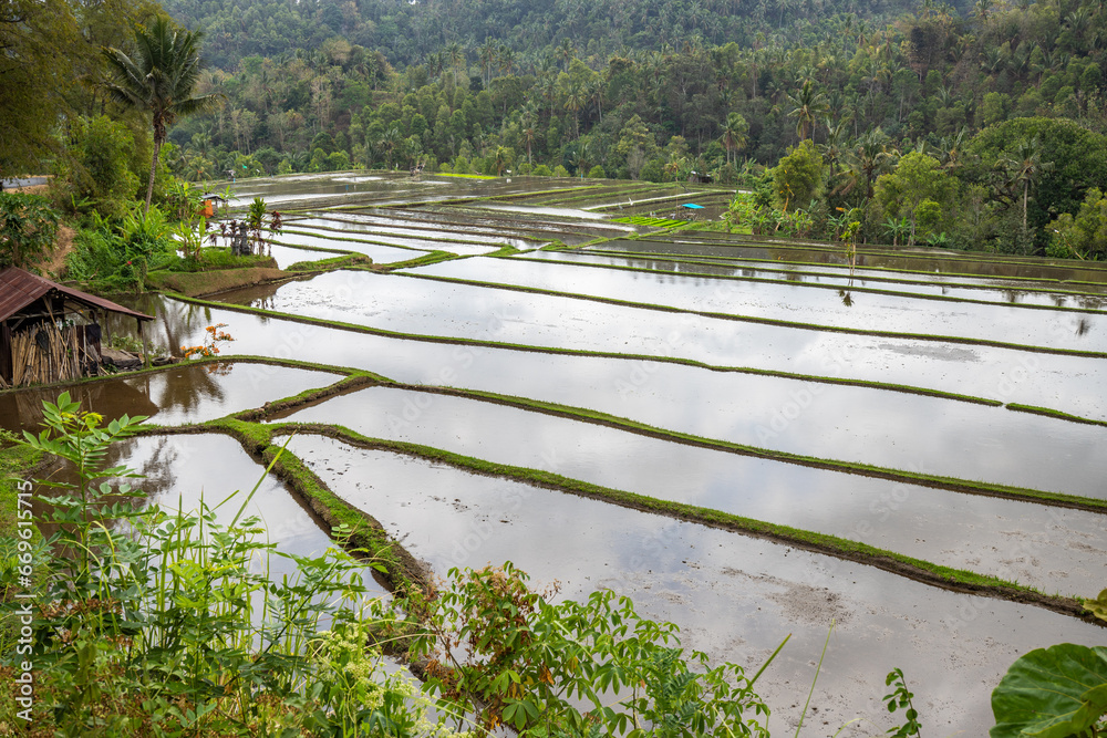 Pool With Rice Farm The magical rice terraces in the evening. Here you can see the unique ...