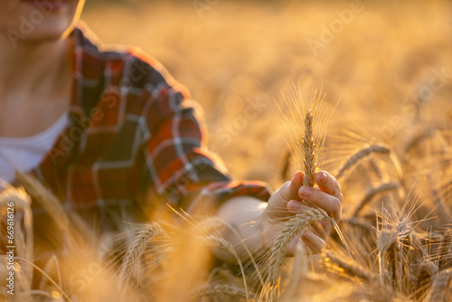 Woman farmer touches the ears of wheat on an agricultural field.