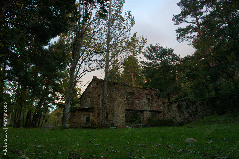 ruina, dom, budynek, opuszczony, krajobraz, las, dom, architektura, porzucić, na zewnątrz, natura, drzewo, stary, drewno, drewniany, trawa, naturalny, zielony, ruina, dom, budynek, opuszczony, krajobraz, las, dom, architektura, porzucić, na zewnątrz, natura, drzewo, stary, drewno, drewniany, trawa, naturalny, zielony,