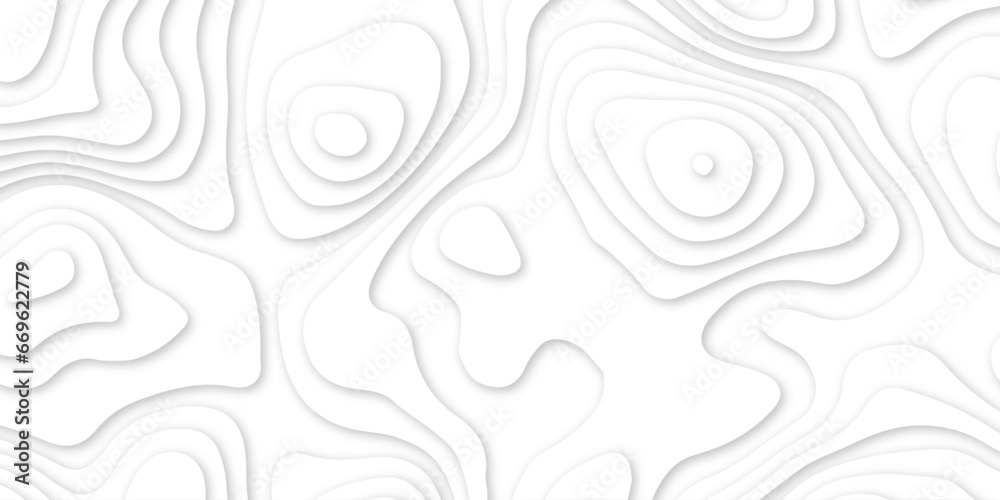 Fototapeta premium Abstract wavy line 3d paper cut white background. abstract white background with smooth wavy layers. silver grid map line topography mount map contour background pattern .