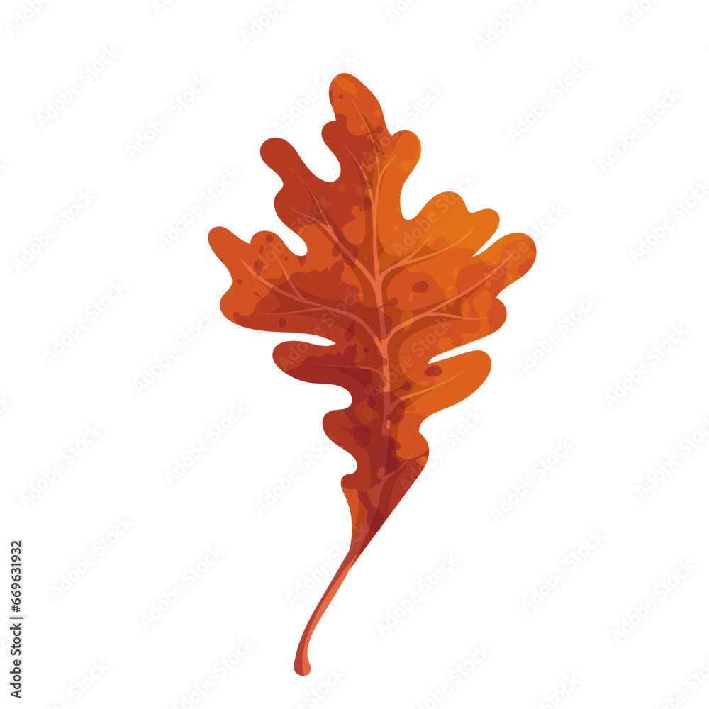 Obraz premium Colorful autumn leaf. Vector graphics.