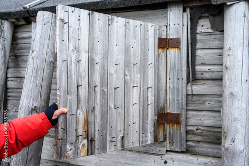 Hand holding open the wooden shutter of an old whalers cabin, nails sticking out of shutter as protection against polar bears, arctic expedition tourism around Svalbard
 photo