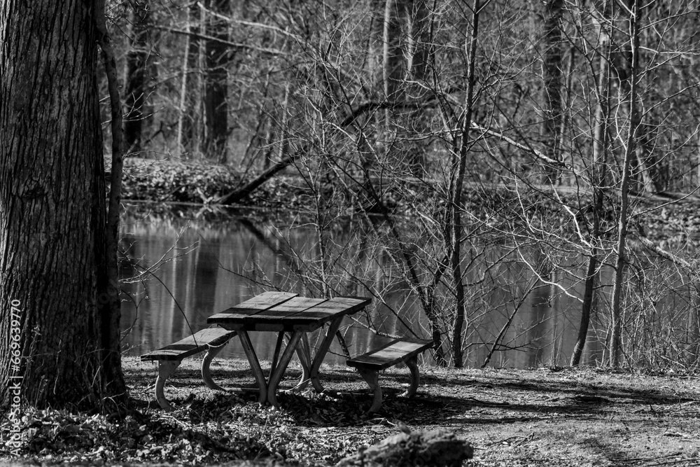 Picnic table by the pond in black and white