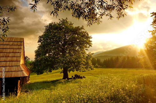 Lonely tree on a lush meadow next to an old wooden cottage, under a cloudy sky at sunset - Podšíp, Slovakia, Europe - Image