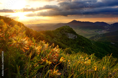 Colorful sunrise in the mountains, with flowers in the foreground, Šíp, Slovakia
