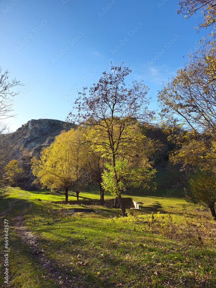 A grassy field with trees and mountains in the background