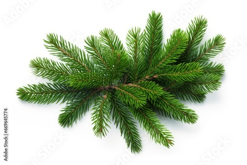 A Festive Pine Tree Branch Against a Clean White Background Created With Generative AI Technology