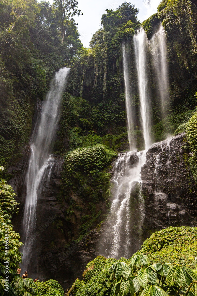 The Sekumpul Waterfall, a large waterfall in the middle of the jungle that falls into a deep green gorge. Trees and tropical plants at Bali's highest waterfall. The Sekumpul Waterfall, a large waterfall in the middle of the jungle that falls into a deep green gorge. Trees and tropical plants at Bali's highest waterfall.