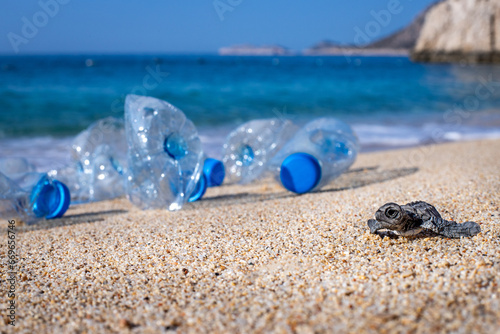 A baby sea turtle ( caretta caretta ) died on the sands because of plastic pollution. A sea turtle can not reach the sea after hatch from egg. 