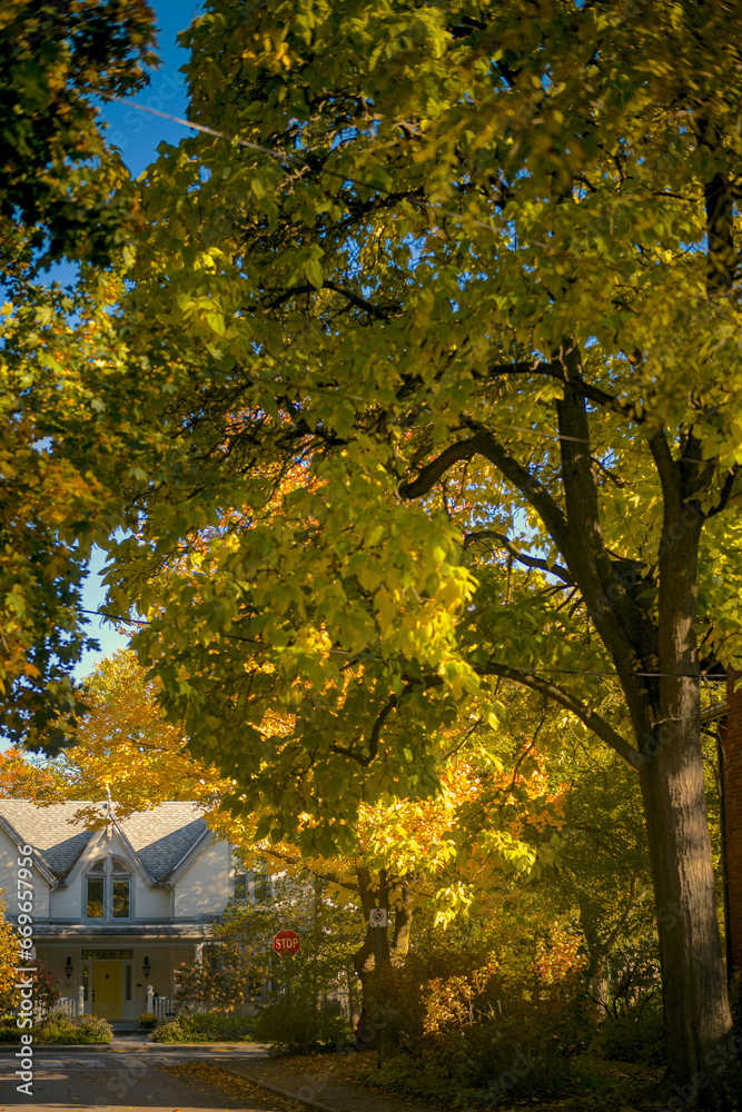 Autumn in the neighborhood