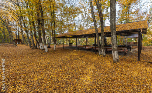 Tea gazebos in the autumn forest