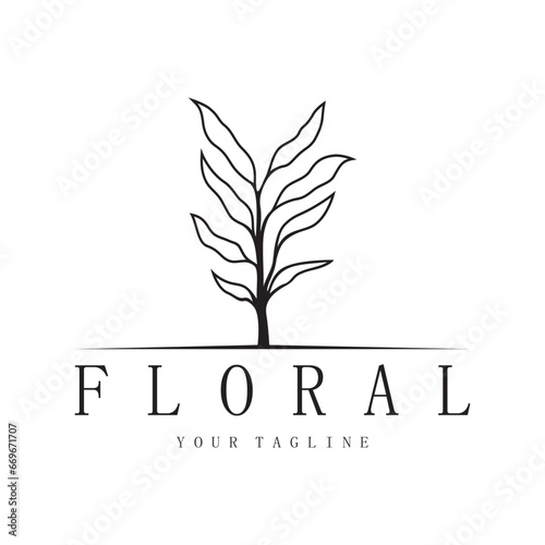Elegant floral and leaf frame. Delicate botanical vector illustration for labels, spas, corporate identity, and wedding invitations