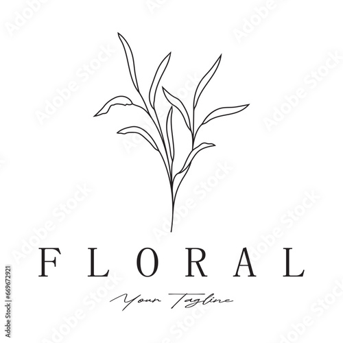 Elegant floral and leaf frame. Delicate botanical vector illustration for labels, spas, corporate identity, and wedding invitations