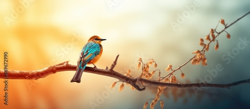 A bird sitting on a tree branch in a photo