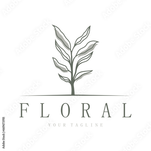 Elegant floral and leaf frame. Delicate botanical vector illustration for labels, spas, corporate identity, and wedding invitations