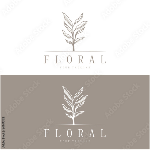 Elegant floral and leaf frame. Delicate botanical vector illustration for labels, spas, corporate identity, and wedding invitations