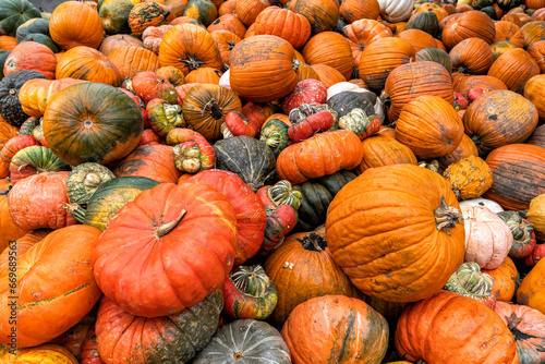 Variety of colorful orange and green size pumpkins. Farmers market display. Selective focus