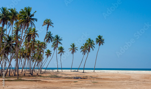 Pusta dzika plaża Salala w Omanie photo
