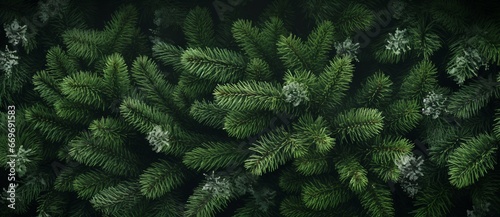 Wintry Bliss: Snowfall on Fir Branches, Perfect for Christmas. Generative ai