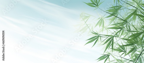 Nature inspired background featuring bamboo and a sky vignette